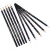 Nataraj Writing Pencils, Platinum, BLACK Bonded Lead, Pack of 24,