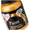 Rainbow Dust Metallic Food Paint Metallic Light Gold
