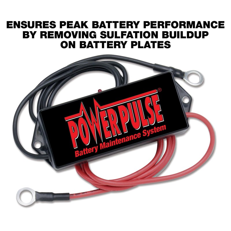 Pulsetech PowerPulse Battery Maintenance System, 48V