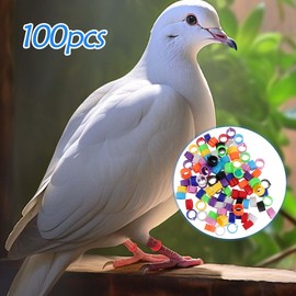 LAJUP 100 x Poultry Foot Rings 8 mm Clamping Rings for Small Poultry Such as Chicken, Available in 10 Colours, without Bayonet Detection. Ideal as a Pigeon Foot Ring or for Marking Small Poultry