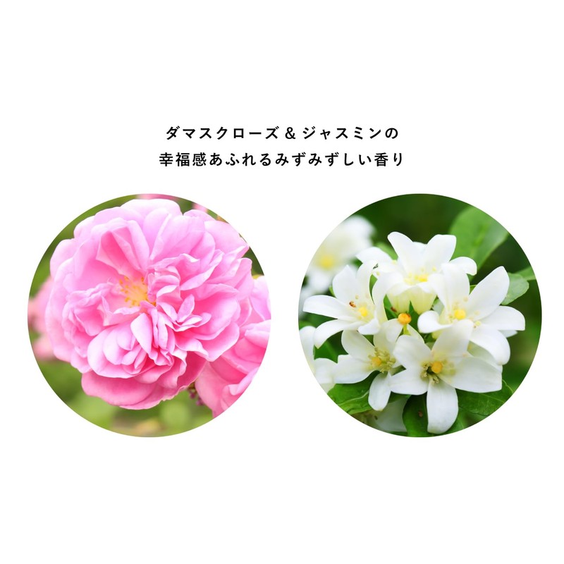 Osagi Kai Revelation Shampoo and Conditioner