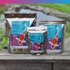 NT Labs Medikoi Health, Complete Feed For All Pond Fish,