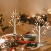PABIPABI Christmas Decorations 2 Pack Lighted Birch Tree, 2 Ft