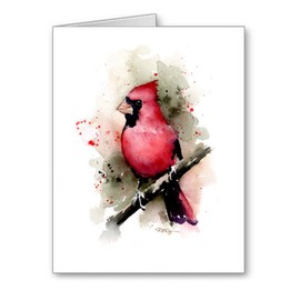 DJ Rogers Fine Art Cardinal - Set of 10 Note Cards With Envelopes