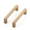 Ravinte 30 Pack Solid 3 Inch Square Cabinet Handles -