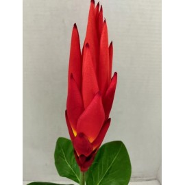 flowersbyjames Artificial Protea Plant. Hawaiian Flowers. Tropical Flowers ORANGE RED
