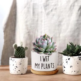 DOFAFALA I Wet My Plants Funny White Mini 3.5 inch Ceramic Flower Planter Pot with Drainage and Bamboo Tray, Cactus Pot, Mini Succulent Pots, Housewarming Gift for Women, Friends, Coworker