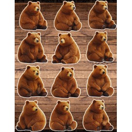 Unbranded Sitting Cinnamon Bear Die Cut Stickers Set Scrapbooking Laptop Waterbottle