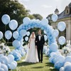 110pcs Pastel Blue Balloon 12 Inch, Pastel Blue Latex Balloons