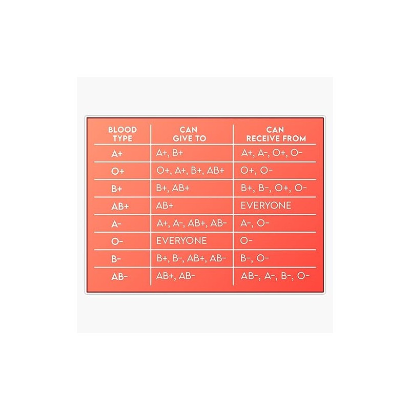 Blood Type And Compatibility Chart Sticker Bumper Sticker Vinyl Decal