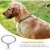 Dog Collar Large Dogs, Slip Collar for Dogs, Dog Chain