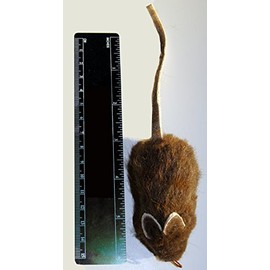 CoolCyberCats Big Buffalo Hair Mouse Refill/Attachment Cat Toy - Fits Wildcat and Popular Bird and Mouse Type Wands/Poles