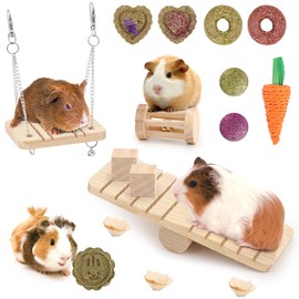 FIDWALL 15PCS Hamster Toys and Chew Set, Natural Wooden & Timothy Hay Molar Toys for Hamsters, Guinea Pigs, Gerbils, Chinchillas – Cage Accessories for Biting, Playing, Teeth Care & Boredom Relief