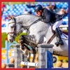 Equine America Cortaflex Regular Strength Powder | Premium Ready To