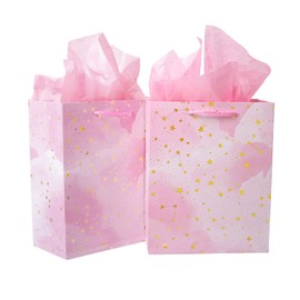 2 Pack Gift Bags with 4Pcs Tissue Papers, Small Medium Gift Bags for Presents, Birthday Gift Bag for Women, Pink