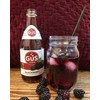 GuS Soda - Dry Blackberry - 12 oz (6 Glass