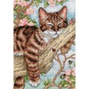 Napping Kitten - Cross Stitch Kit