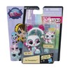 Littlest Pet Shop Pet Pawsabilities Sally Zhen & Pouncer Little