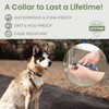 Rubyloo Waterproof Dog Collar | 100% Washable, Stink Proof, Odor