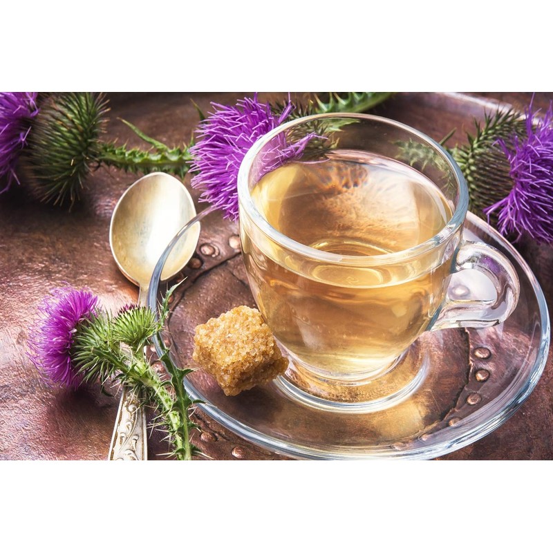 SAFLAX - Medicinal Plants - Milk Thistle - 75 Seeds