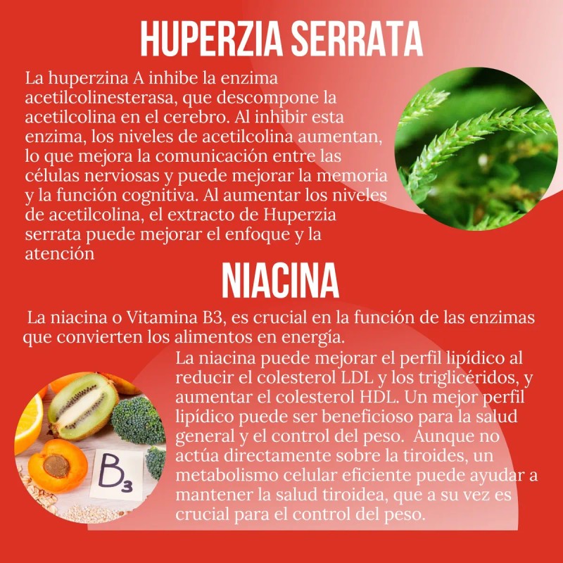 Suplemento Ultra Reductivo Extremo 90 Cpsulas Sin Sabor