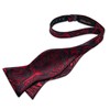 DiBanGu Silk Bow Ties for Men Striped Solid Paisley Self