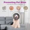 Dog Lick Protection, Soft Protective Collar, Cone Collars, Adjustable Recovery