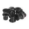 Race Face Outer Chainring Bolts, set/10 - Silver