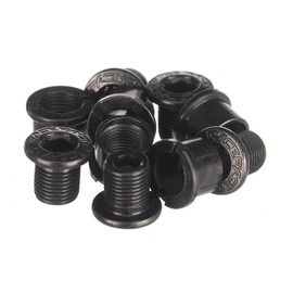 Race Face Outer Chainring Bolts, set/10 - Silver