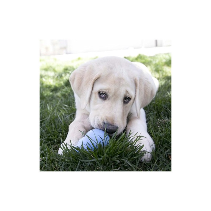 Kong juguete Interactivo clasico para cachorro rosa/azul mediano