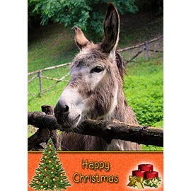 Donkey Wild Animal Christmas Card 'Happy Christmas' - Special Xmas Card for Him Her Kids Male Female