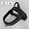 Didog No Pull Dog Harness with Breathable Mesh Padded, Full