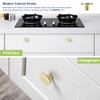 KOPPALIVE 5-Pack Modern Gold Cabinet Knobs, Hammered Solid Brass Drawer