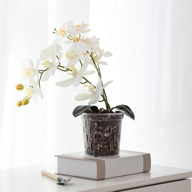 TRUEDAYS Orchid Pot - 4 Pack 4 Inch Clear Plastic