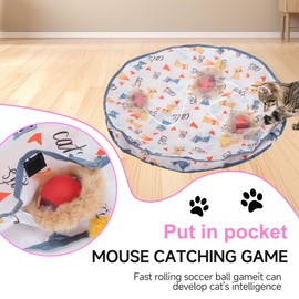 Interactive Cat Toy Ball Fast Rolling in Pouch, Automatic Cat Toys Motion Activated Simulated Chirping Bird Sound Cat Toy Hide and Seek Mouse Cat Game,Moving Cat Toy for Indoor Cat White Mat Red Ball