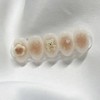 [Handmade Nail Tips] Cozy Bear Nail Tips - Petit Almond