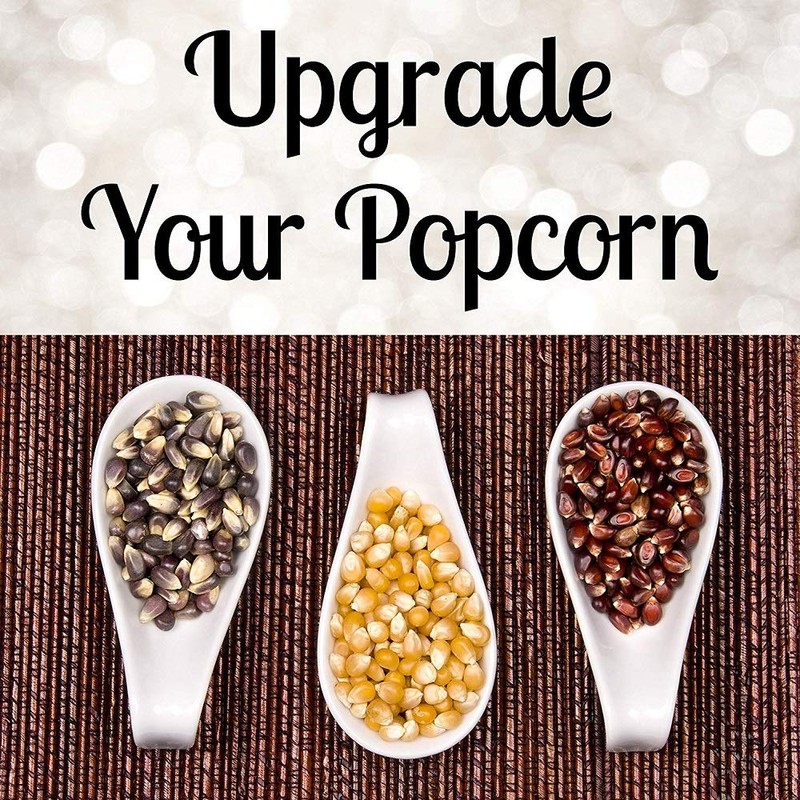 Wabash Valley Farms - Popcorn Jar - Jingle - 28