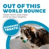Outward Hound by Planet Dog Orbee-Tuff Planet Ball Blue/Green Treat-Dispensing