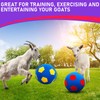 VercanMonth 4 Pcs 2 Set Goat Ball Toy with Ball