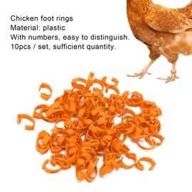 100Pcs Chicken Leg Rings, Colorful Chicken Leg Bands Numbered Tag Markers Clip On Poultry Ankle Bands ​for Chicken Duck Bird[Orange]Poultry Care