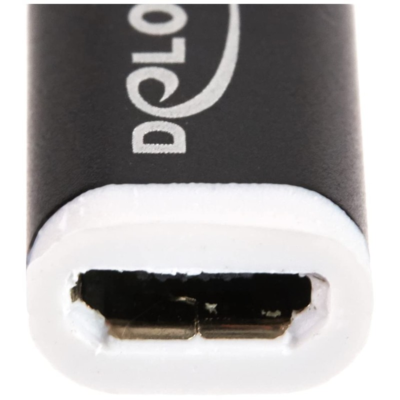 DeLOCK Adaptor USB Type C Male Device USB Micro
