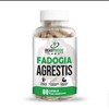 Maximum Strength Fadogia Agrestis 500mg Capsules - Athletic Performance &