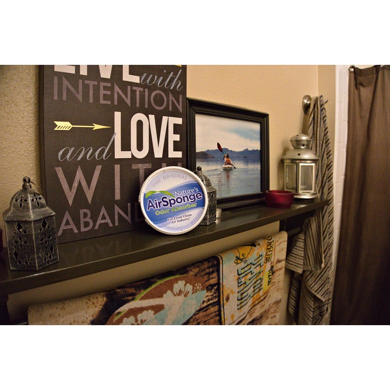 Nature's Air Sponge Odor Absorber Unscented Plastic Tub 1/2 Lb.