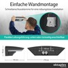 Ambo Motion Outdoor Light with Motion Sensor 10 W 800