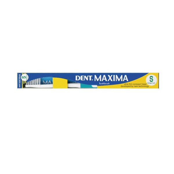 Lion DENT Maxima S (Soft)