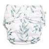 EcoNaps 2.0 Modern Cloth Nappy, Olive Leaf