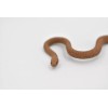 Unbranded Eastern Brown Snake, Australia, Rubber , Model Toy Realistic3