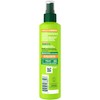Garnier Garnier Fructis Sleek & Shine 10-in-1 for Frizzy, Dry