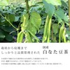 Gabai Farm, Domestically Produced, Handmade, White Bean Tea, 0.1 oz