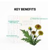 Dandelion Leaf Tea by Amelia Rose | 50 Tea bags